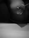 Фотография №4237161